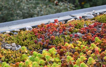 the cost of Catteshall green roof installation